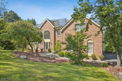 9 Stark Ct Ringoes, NJ 08551