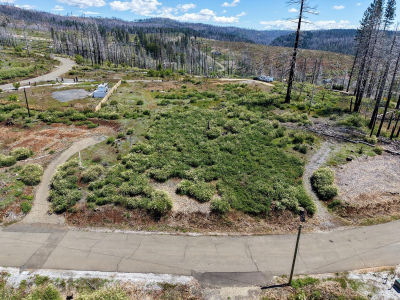 4929 Edgewood Cir Grizzly Flats, CA 95636