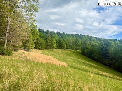 Tbd New Hope Church Rd Laurel Springs, NC 28644