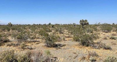0 Avenue W #14 Llano, CA 93544