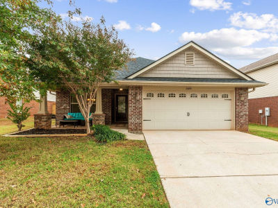 24696 Rolling Vista Dr Athens, AL 35613