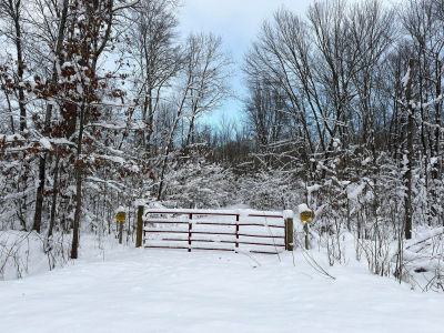 10830 W Three Mile Rd Branch, MI 49402