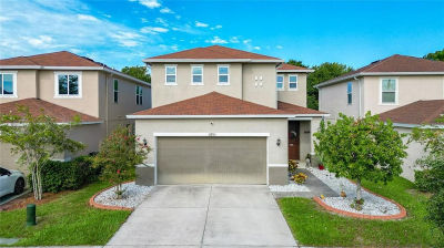 10703 Southern Forest Dr Riverview, FL 33578
