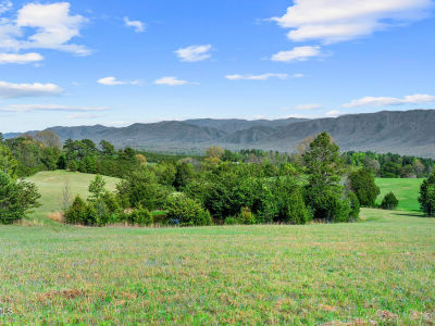 9 Ash Meadow Dr Greeneville, TN 37743