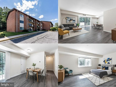 2303 Olson St APT 203 Temple Hills, MD 20748