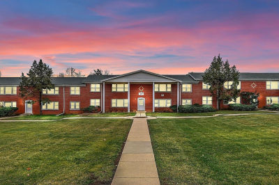 209 W Johnson St Unit 1B Palatine, IL 60067