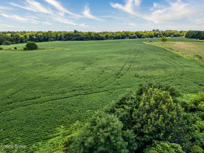 Township Road 5 Cropper Rd Pleasureville, KY 40057