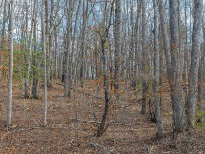 Bible Way Rd Victoria, VA 23974