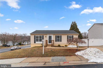 6432 Woodland Forest Dr Elkridge, MD 21075