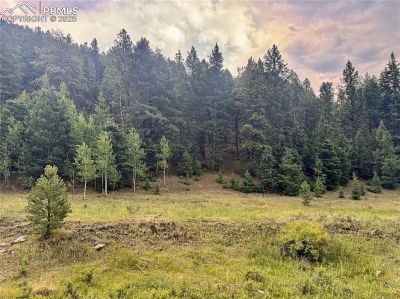 278 Penrose Cir Florissant, CO 80816