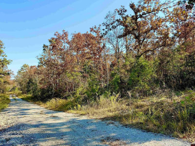 010-01589-000 Canmore Dr Mountain Home, AR 72653