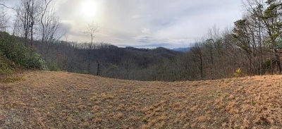 14 Fontana Ridge Rd Bryson City, NC 28713