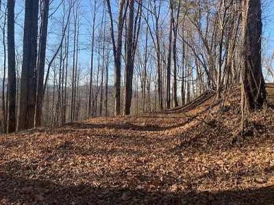 F1 Biltmore Cir Bryson City, NC 28713