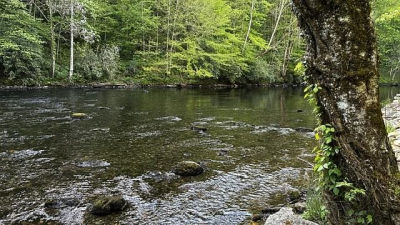 LOT 14 Mystic River Meadows Way Bryson City, NC 28713