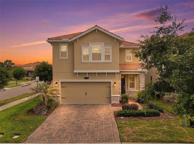8700 Pacific Dunes Dr Davenport, FL 33896