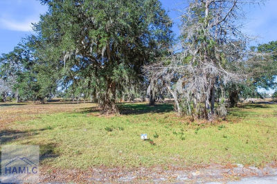 LOT 5 Bermuda Bluff Ln Midway, GA 31320