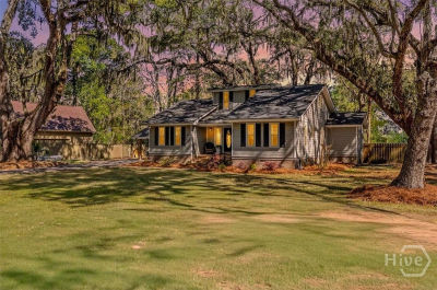 66 Harvey Dr Richmond Hill, GA 31324