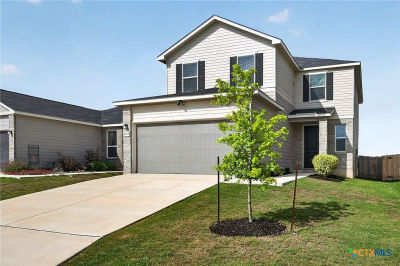 4133 Harper Lee Ln New Braunfels, TX 78130