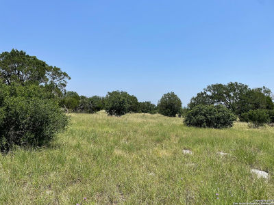 1063 Hob Nail #1063 Horseshoe Bay, TX 78657