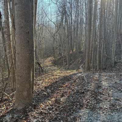 Brindlewood Dr #38V Nebo, NC 28761