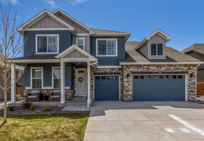 1658 Pinion Wing Cir Castle Rock, CO 80108