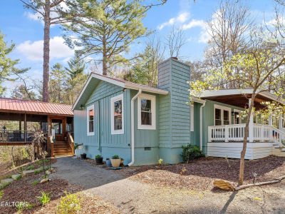 151 Gold Miners Ln Tellico Plains, TN 37385