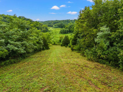 101 Sabin Dr Georgetown, KY 40324