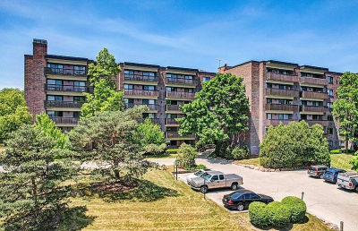 920 Vose Dr APT 106 Gurnee, IL 60031