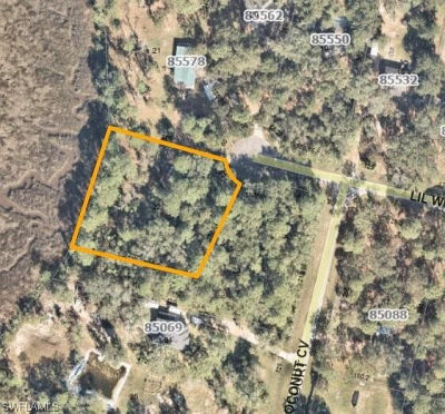 85580 Lil William Rd Fernandina Beach, FL 32034