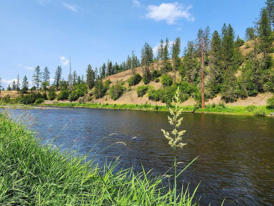 Tbd Lukes Gulch Rd Stites, ID 83552