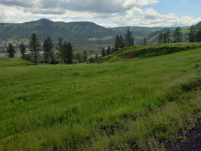 River View Dr Kamiah, ID 83536