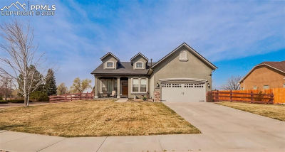 10382 Buck Rake Ct Fountain, CO 80817