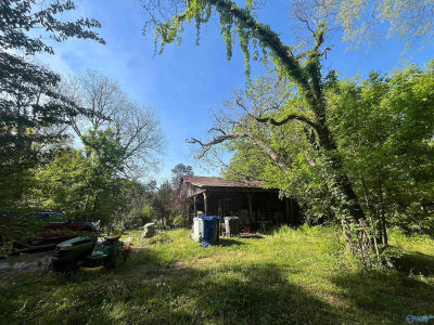 703 County Road 317 Trinity, AL 35673