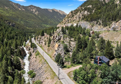 205 Loop Dr Georgetown, CO 80444