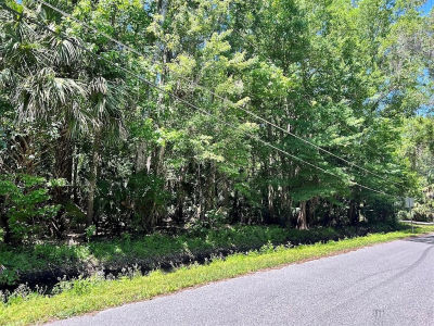 379 N Jungle Rd Geneva, FL 32732