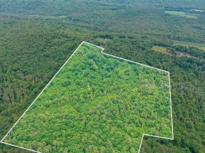 231 Mutton Rd Webster, NH 03303