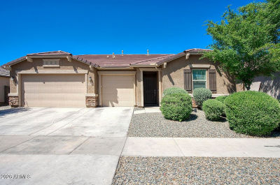 16094 W Desert Hills Dr Surprise, AZ 85379
