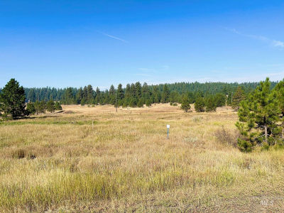 LOT 17 Whitefield Ln McCall, ID 83638