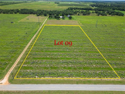 4046 Old Bowling Green Rd LOT 9 Fort Meade, FL 33841