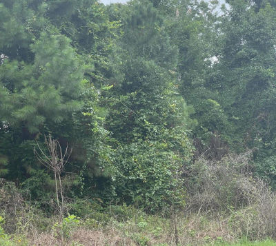 4 Summers Dr Summerville, SC 29485