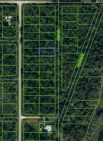 930 Kirby Ave #21 Lake Placid, FL 33852