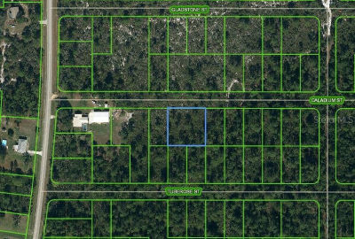1411 Caladium St #6 Lake Placid, FL 33852