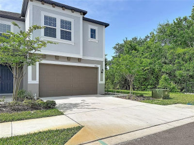 10801 Fort White Ct Tampa, FL 33647