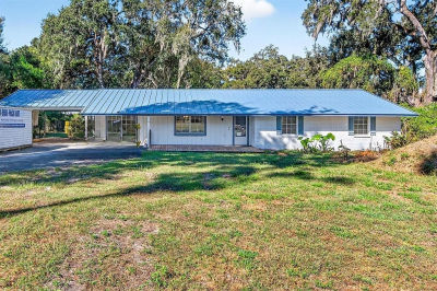 10618 Skewlee Gardens Dr Thonotosassa, FL 33592