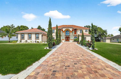 10908 Flint Estates Dr Thonotosassa, FL 33592