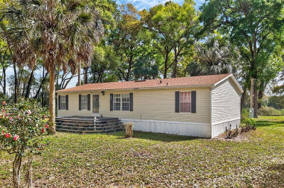 16820 SE 165th Ave Weirsdale, FL 32195
