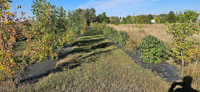 On Country Ln Mandan, ND 58554