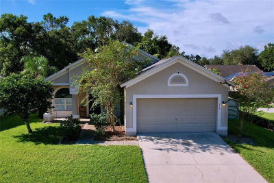 2003 Leichester St Valrico, FL 33594