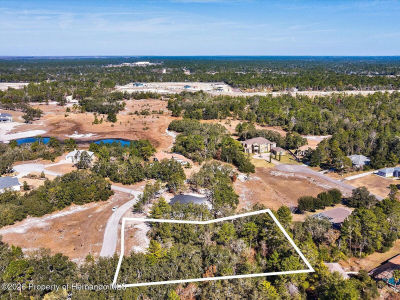 9630 Wilderness Trl Weeki Wachee, FL 34613