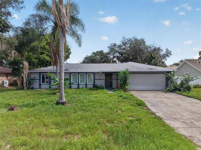 1345 Herndon Ave Deltona, FL 32725